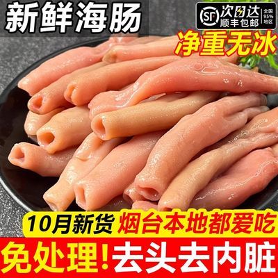 海肠新鲜鲜活冷冻海捕海肠皮沙虫海肠捞饭海鲜水产免处理商用批发
