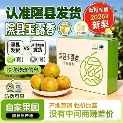 【产地直发】正宗山西特产隰县玉露香梨礼盒装新鲜当季水果梨子优惠商品图片