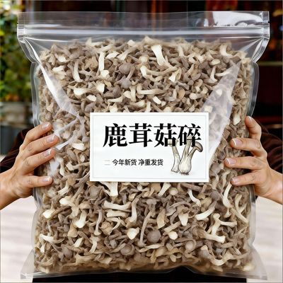 【净重新货】鹿茸菇碎片干货鹿茸菌大碎脆脆菇包子饺子正品馅料用