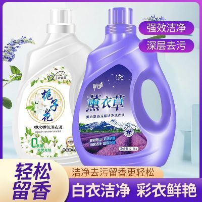 薰衣草洗衣液10斤大桶香水洗衣服留香香氛去污整箱家庭批发5斤