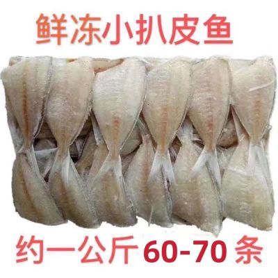 海鲜冻品小耗鱼扒皮鱼马面鱼鲜冻剥皮鱼玻璃鱼包冰2斤新鲜包邮