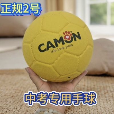 标准2号手球中考专用手球学生手球训练用球少年初学内外耐磨防滑