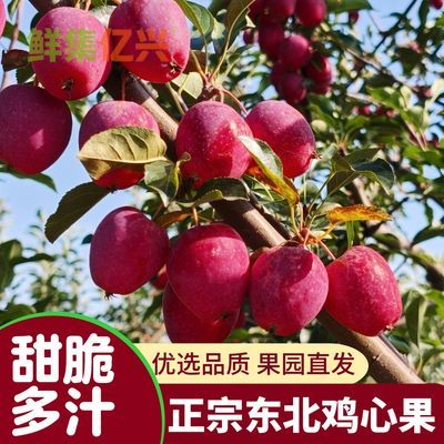 正宗东北鸡心果锦绣海棠塞外红小苹果现摘脆甜多汁当季新鲜水果优惠商品图片