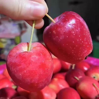 果王黑龙江发源地发货正宗鸡心果锦绣海棠果塞外红酸甜孕妇水果