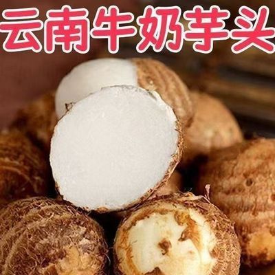 正宗牛奶云南鲜牛奶芋头新鲜毛芋香芋蔬菜批发现挖芋艿整箱农家优惠商品图片