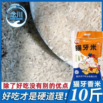 【进宝专属】新米10斤净重精选猫牙现磨农家长粒丝苗大米批发长粒优惠商品图片