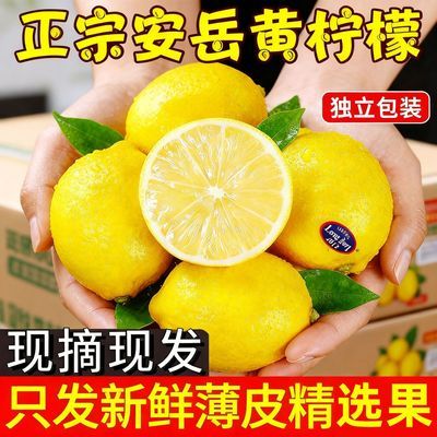 四川安岳柠檬新鲜正宗当季应季水果整箱批发薄皮多汁泡水规格奶茶