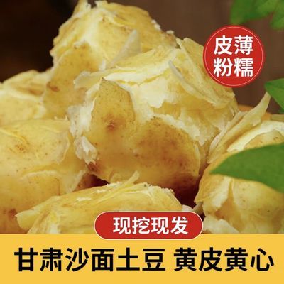 定西黄心土豆现挖新鲜农家粉糯沙面洋芋3/5/9斤大小果可选