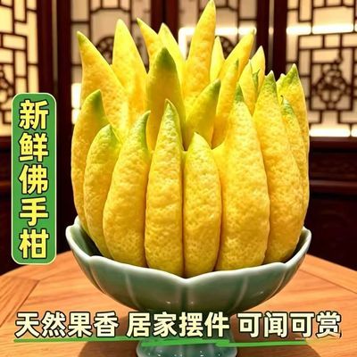云南高原新鲜佛手柑鲜果天然香薰室内家用佛手摆件鲜花乔迁批发