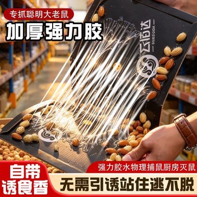 云佰达正品大号强力坚果贴粘鼠板升级家用灭鼠神器加厚强力胶地鼠
