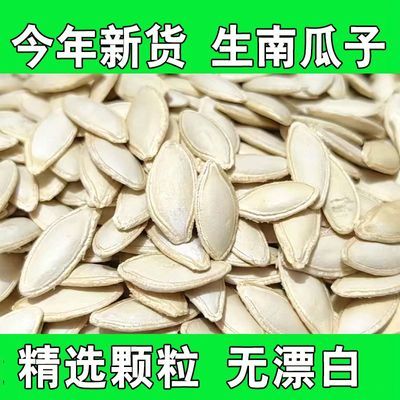 2026年新货净重精选新疆大片生南瓜子晒干原味生的南瓜籽坚果零食