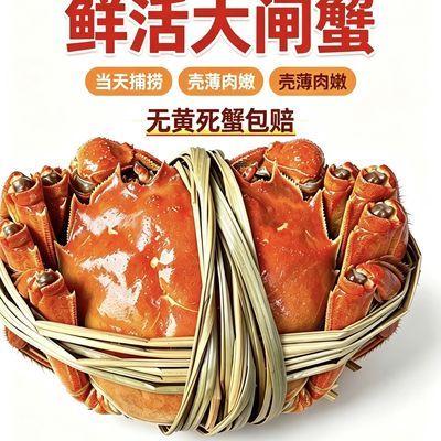 【活蟹】鲜活大闸蟹母螃蟹现货海鲜水产礼盒正宗江苏螃蟹