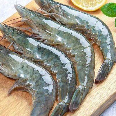 纯野生青岛本地大虾海洋纯野生大虾青虾对虾鲜活冷冻海鲜水产