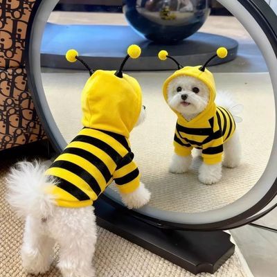 狗狗衣服可爱小蜜蜂卫衣秋冬比熊博美西高地小猫咪衣服保暖防掉毛