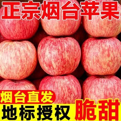 【彩箱发货】正宗烟台苹果脆甜栖霞红富士新鲜苹果水果批发一整箱