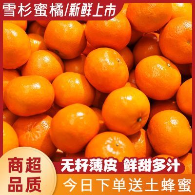 【爱心扶农】现摘雪杉蜜橘无核薄皮孕妇柑桔新鲜橘子当季水果礼盒