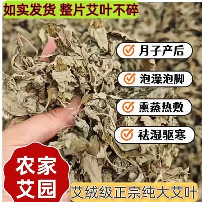 纯艾草叶正宗无梗野生天然大艾叶月子产后泡脚洗澡干艾草祛湿家用