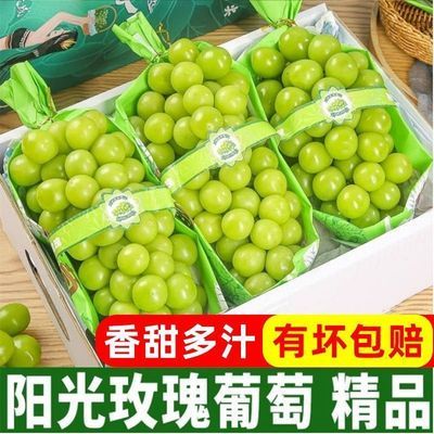阳光玫瑰晴王葡萄当季脆甜少籽香印产地批发一整箱应季提子优惠商品图片