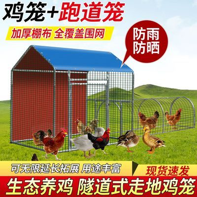 隧道式走地鸡笼生态养鸡棚走地养鸡笼鸭笼鹅笼孔雀笼户外养殖神器