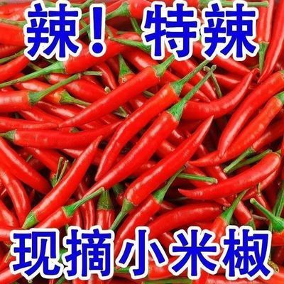 2斤新鲜现摘小米辣鲜椒特辣泡椒巨辣魔鬼红辣椒辣椒朝天椒小米辣优惠商品图片