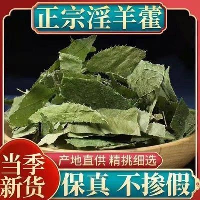 野生淫羊藿正品甘肃淫羊藿正宗仙灵脾三枝九叶草甘肃产新鲜淫羊藿