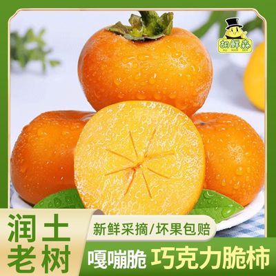【胡鲜森】彩箱 陕西巧克力脆柿阳丰脆柿子新鲜水果应季3斤起