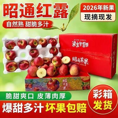 【彩箱发货】当季冰糖心正宗云南昭通富士丑苹果脆甜多汁新鲜整箱
