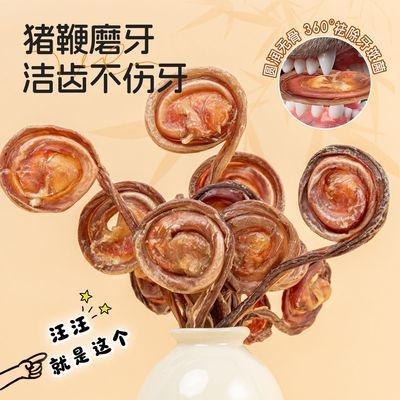 磨牙棒猪鞭狗狗零食猪小弟棒棒糖宠物磨牙洁齿除臭幼犬训练奖励