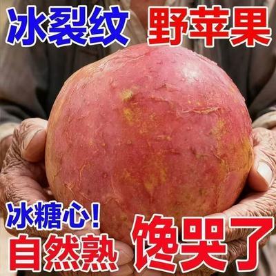 超脆甜】正常丑苹果红富士应季冰糖心新鲜苹果水果当季整箱批发价