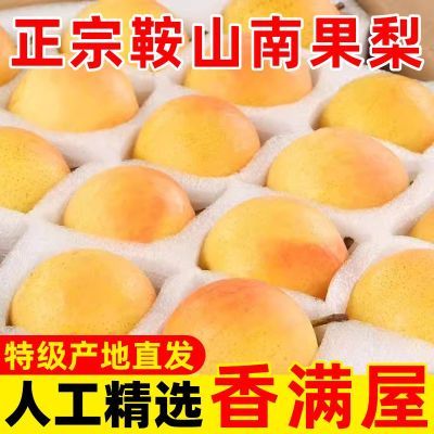 正宗鞍山南果梨新鲜南国东北特产当季水果辽宁海城香水梨整箱批发