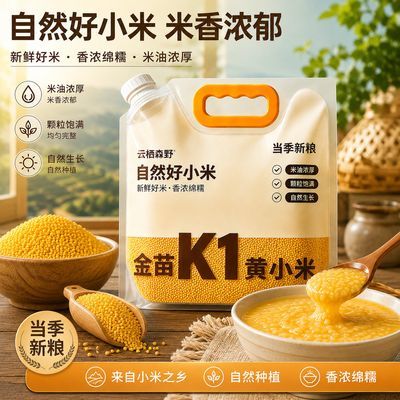2026年内蒙敖汉黄小米新米金苗k1浓厚煮粥粗粮小米粥五谷杂粮熬粥