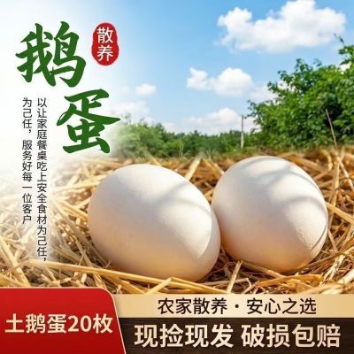 正宗散养雁鹅蛋自养大雁鹅蛋新鲜农家鲜鹅蛋五谷杂粮一整箱批发