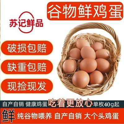 红壳洋鸡蛋精品鲜鸡蛋纯谷物喂养红皮早餐鲜鸡蛋新鲜一整箱