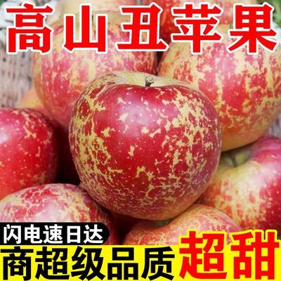 26年头茬正宗丑苹果红富士脆甜多汁整箱冰糖心新鲜批发水果当季