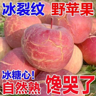 2026头茬】正宗丑苹果冰糖心红富士应季新鲜苹果水果脆甜整箱批发