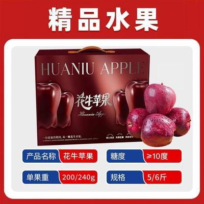 【商超品质】御品一园礼盒甘肃天水花牛苹水果净重5斤200g起