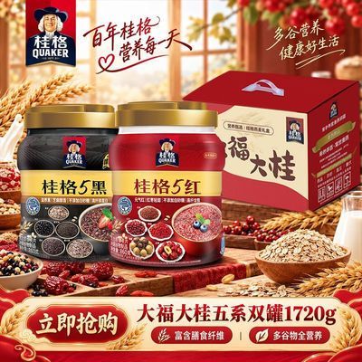 大福大桂5系双罐礼盒装1720g冲饮营养谷物早餐过节送礼
