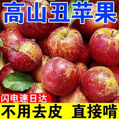 【超脆甜】正宗麻脸丑苹果冰糖心现摘头茬果应季水果脆整箱批发价