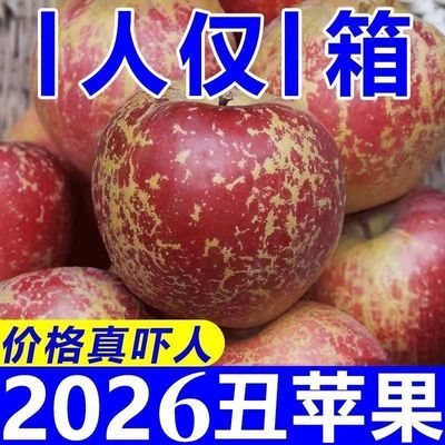【超脆甜】正宗麻脸丑苹果冰糖心现摘头茬水果应季水果整箱批发价