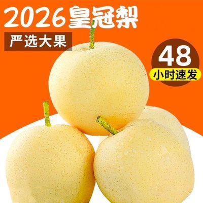 正宗河北皇冠梨新鲜梨子应季水果脆甜多汁2026新鲜整箱批发价包邮优惠商品图片