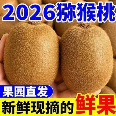 【坏果包赔】陕西眉县猕猴桃 农户家种植当季新鲜徐香猕猴桃
