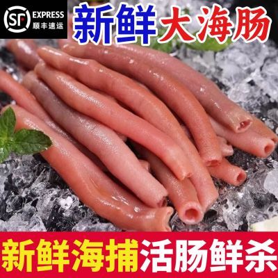 海肠新鲜速冻鲜冻海肠海捕海肠皮葱油海肠捞饭海鲜水产生鲜商用