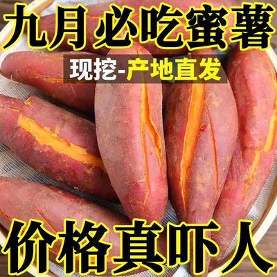 正宗现挖龙九蜜薯蜜薯沙地红薯新鲜香甜农家番薯糖心黄心地瓜批发优惠商品图片