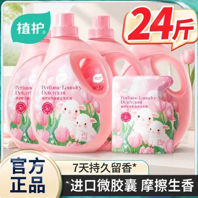 【植护】24斤香氛洗衣液大瓶家用囤货持久留香去污渍补充装整箱批宿舍