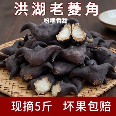 2026湖北老菱角黑皮大果粉糯香甜莲角凌角现摘速发新鲜水生蔬菜