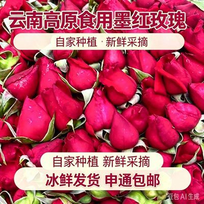 【新鲜采摘】云南直发可食用玫瑰花新鲜墨红玫瑰花苞荞麦泡醋泡酒
