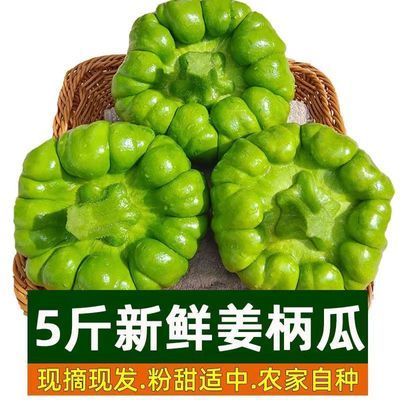 云南特产姜柄瓜小南瓜新鲜绿嫩瓜【黑吉辽不建议拍】