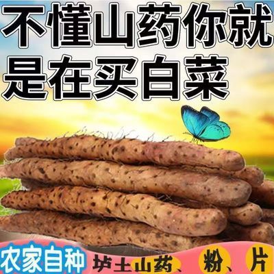 【首单优惠】正宗铁棍山药新鲜铁杆淮山小白嘴山药面糯香甜整箱优惠商品图片