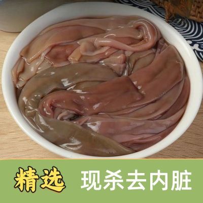 新鲜海肠速冻海肠皮冷冻海肠皮海鲜饺子商用批发