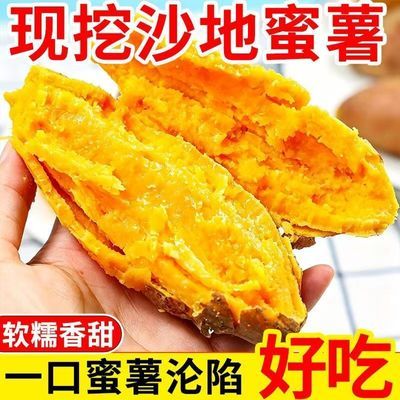 便宜现挖正宗沙地种植红蜜薯新鲜蜜薯红薯板栗番薯黄心糖心地瓜优惠商品图片